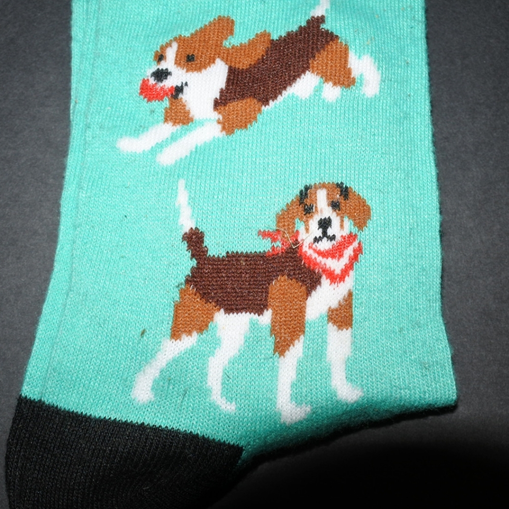 Beagle Socks - Picture 5 of 5